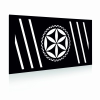 panel-pelny-ogrodzeniowy-regionalne-metalowy-ocynk-czarny-mat.jpg