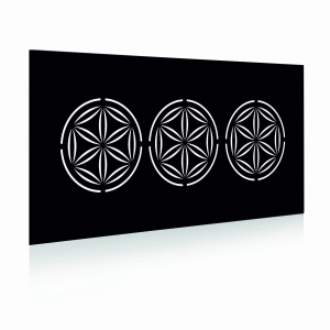 Panel ogrodzeniowy 2D Regionalny Podhale1050
