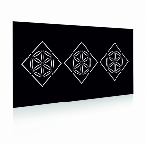 Panel ogrodzeniowy 2D Regionalny Podhale1060