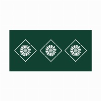 panel-ogrodzeniowy-na-wymiar-metalowy-ocynk-czarny-matowy-roslinny-RAL.jpg
