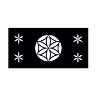 ogrodzenie-panel-metalowy-wycinany-laserowo-producent-RAL-czarny-matowy.jpg